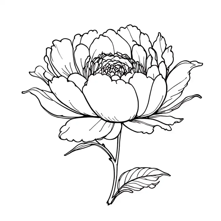 Singular Peony Flower With Stem