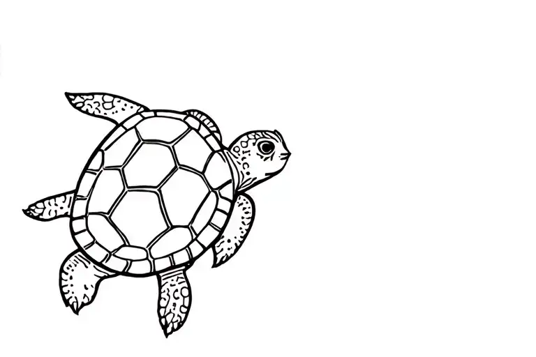 Turtle In Reference To