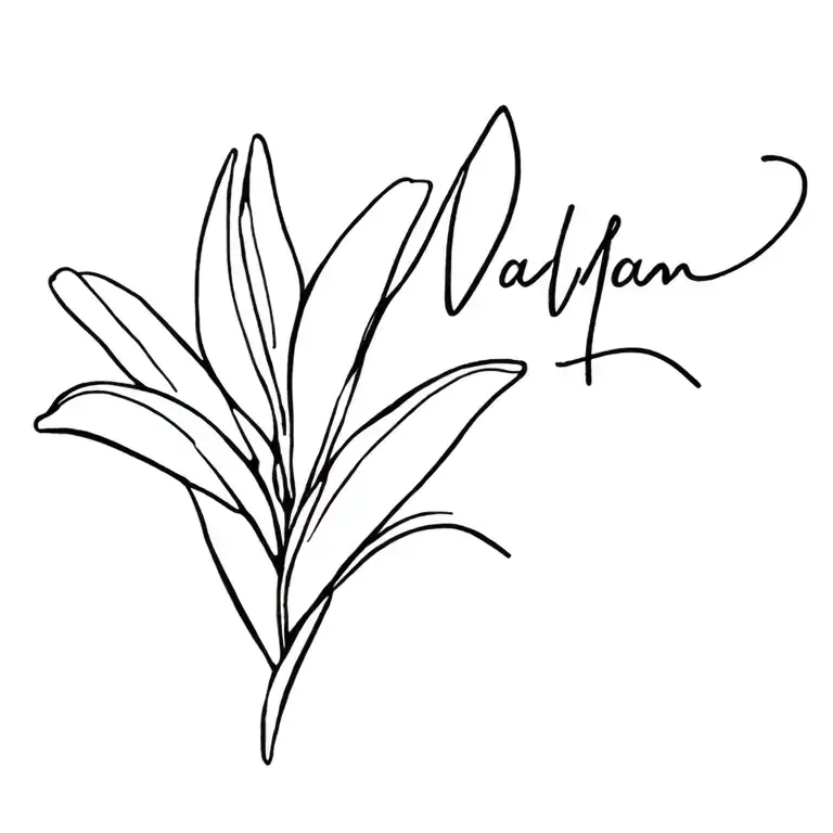 Lily Of The Flower With Name Incorporated