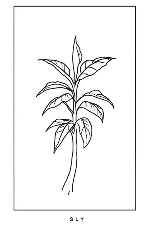 Banana Tree With Sacuanjoche Plant Fine Line