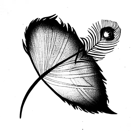 Moon With Peacock Feather