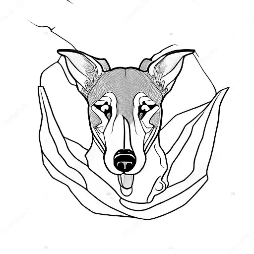 Black And White Greyhound Sleeping