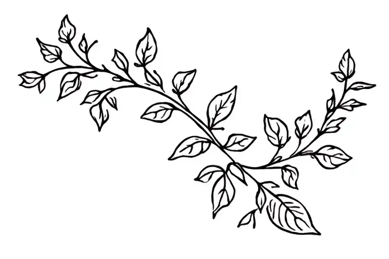 Leaves And Flowers On A Vine Wrapped Loosely