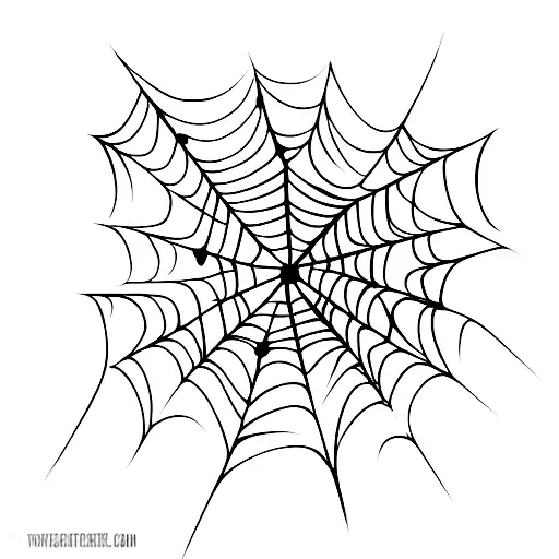 Spider Web