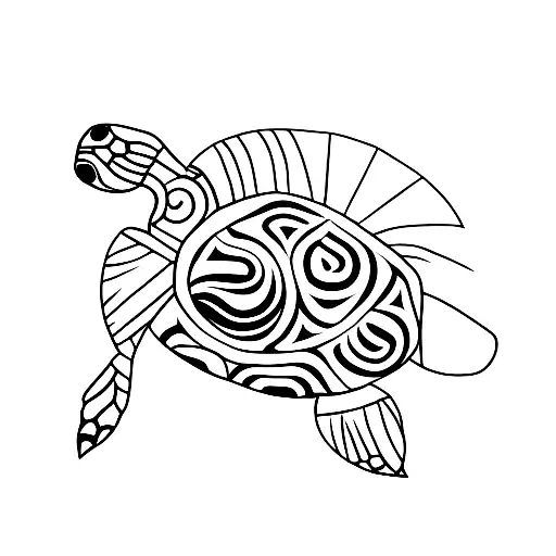 Turtle From Red Indian Tribes