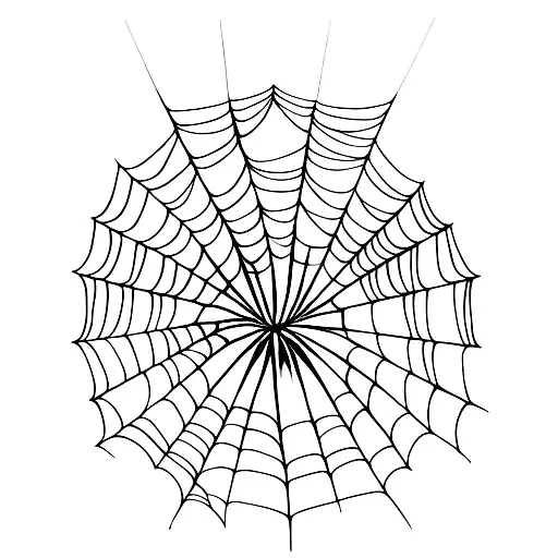 Lily With Webs And Spider