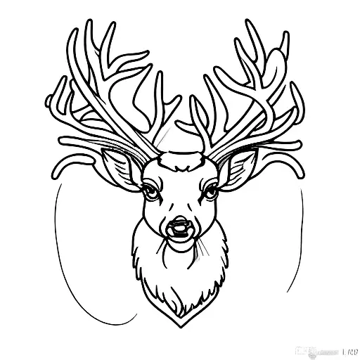 Deer Antlers