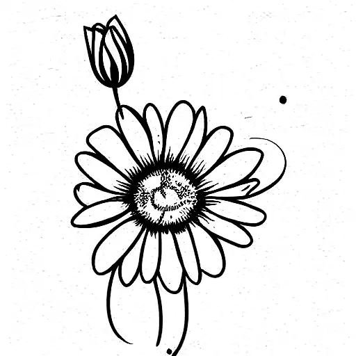 Birth Flower Of The Months Of August And September Placed Seperate But Vertical