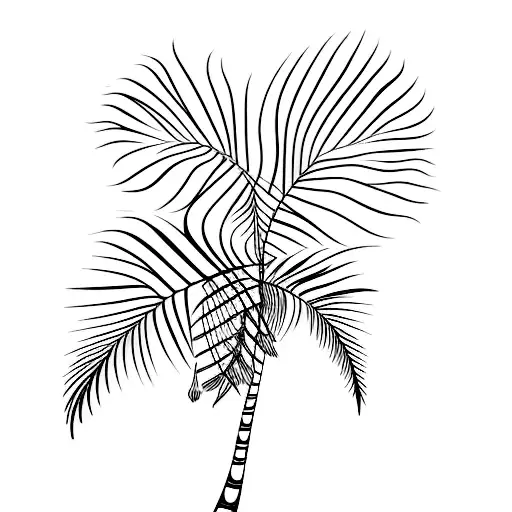 Palm Tree With Feathers