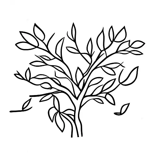 Cherry Blossum Tree In A Rectangle