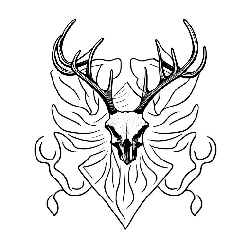 Red Deer Skull And Antlers