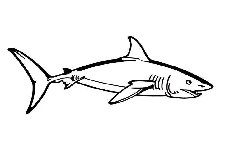 Simple Thresher Shark