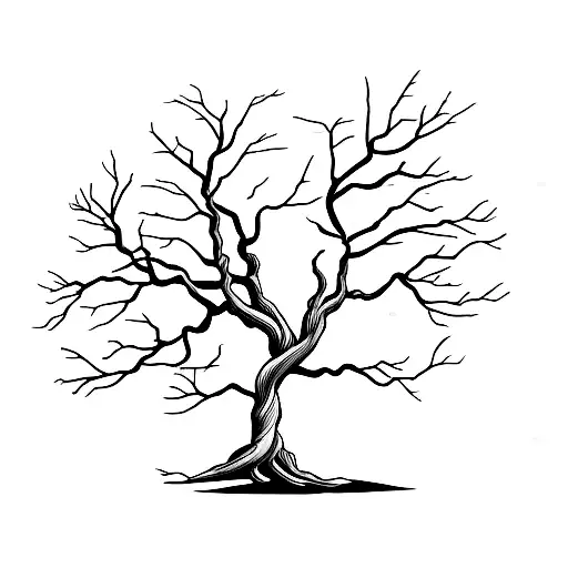 Dead Tree Growing Slowly With A Sun Hiden Behind