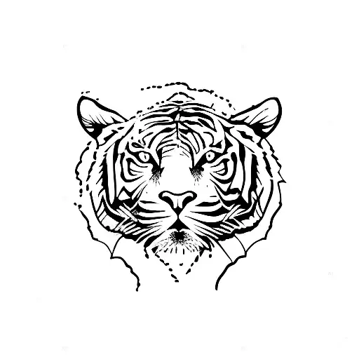 Malayan Tiger Whole Body