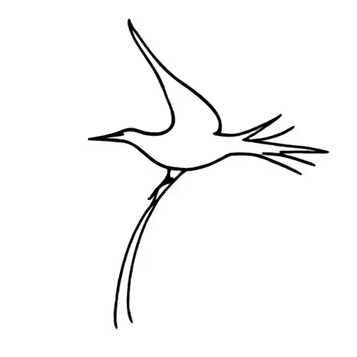 Bird Soaring Tail Straw