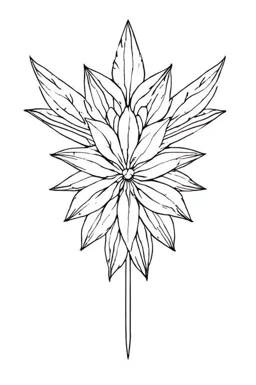 Symmetrical Nature Japan