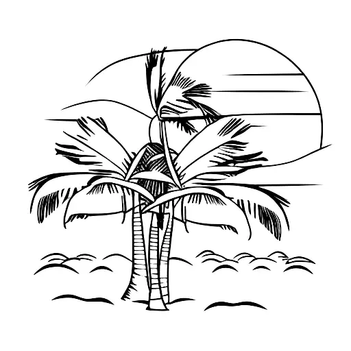 A Shade Of Woman Dancing Under The Sunset With A Palm Tree View At The Beach