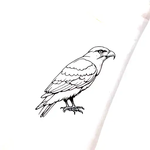 Dainty Fine Line Minmal Hawk