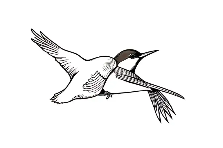 Wren And Woodpecker Bird Flying