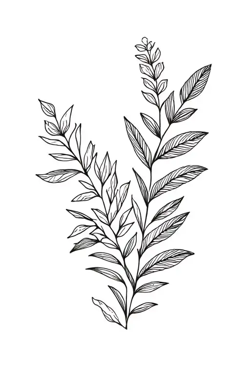 New Zealand Native Plants