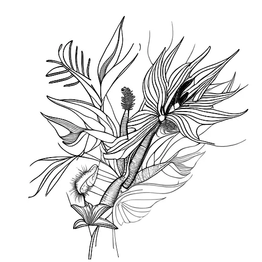 Red Bird Of Paradise Flower And Buds Surrounded By Foliage