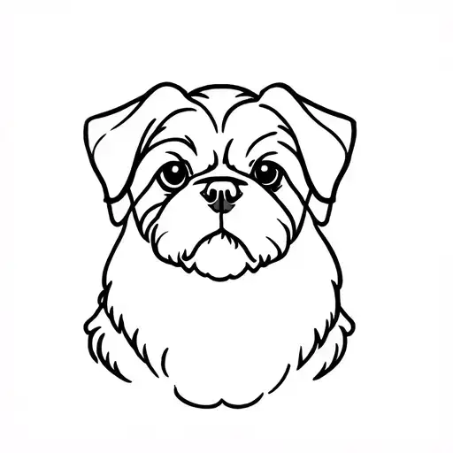 Shi Tzu Dog Face