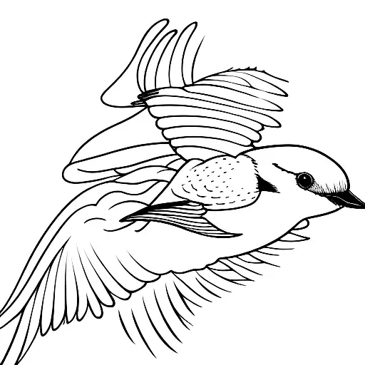 Swallow Bird Diving