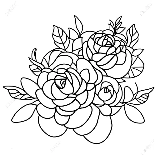 Potatoes Flowers Plant