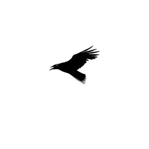 Small Black Raven Flying Facing Front