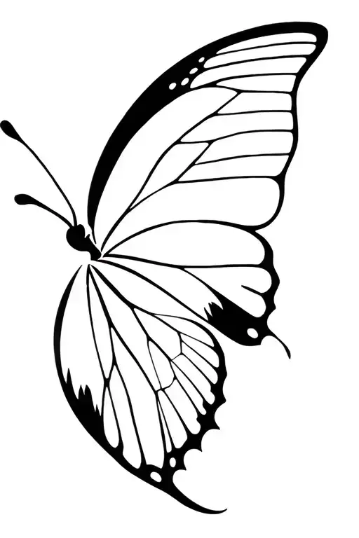 Dark Design Of Buttefly