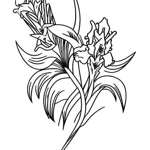 Long And Fine Single Small Gladiolus Branch Line