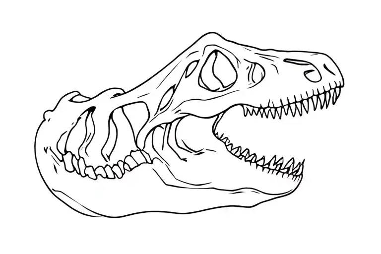 Tyrannosaurs Rex Skull