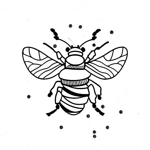 Bee And A Old Photo Machine