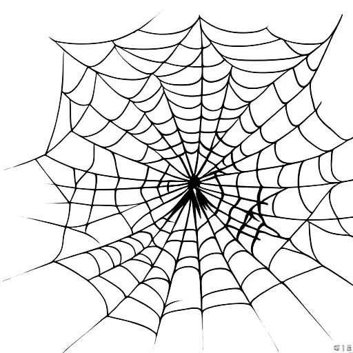 Spider's Web With Spider Off The Web