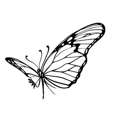 Butterfly With The Letter To Incorporate Into The Wing