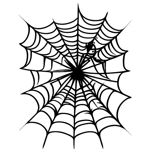 Spider Web