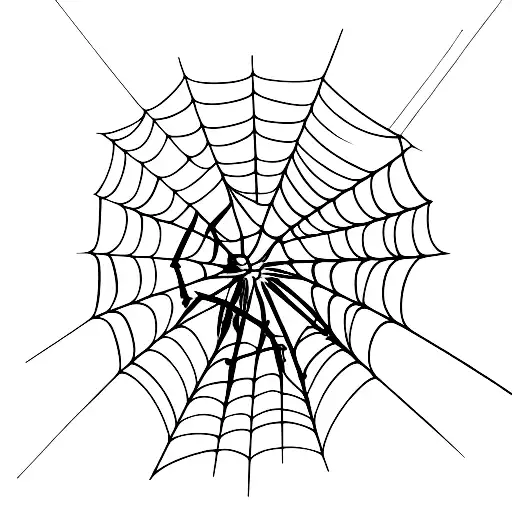 Spider Attached To Web By Long Thread