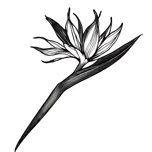 Flower Bird Of Paradise