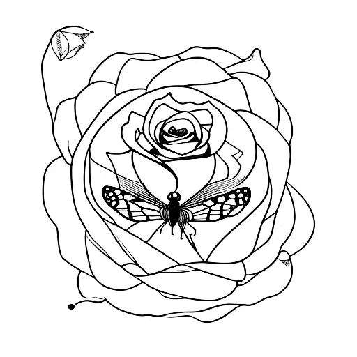 Glass Dome With Rose Inside And Butterfly Breaking The Glass