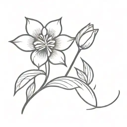 Sun And Tulip Flower