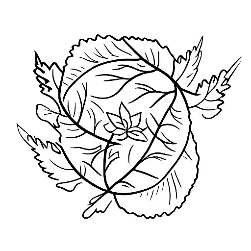 A Vine With Small Beautiful Leaves