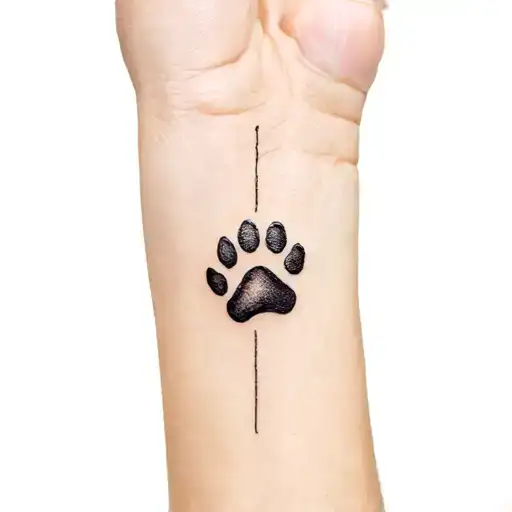 Vini Vidi Vici With A Dog Paw Print