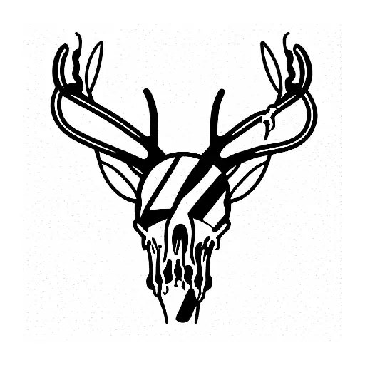 Deer Skeleton With Long Horns