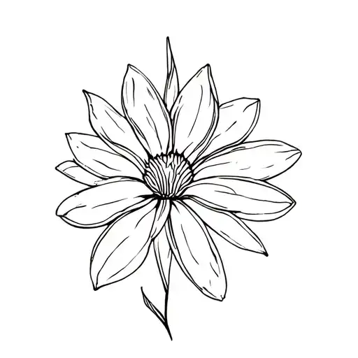 Sister Flower Of Birth May September Force