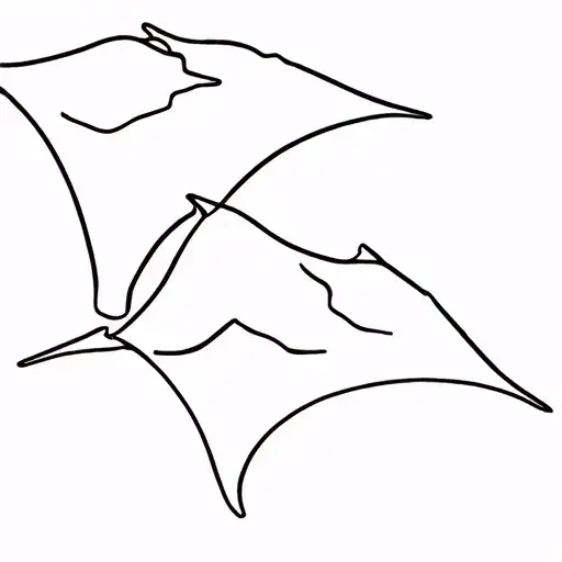 4 Manta Rays Different Sizes Swimming Together
