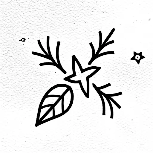 Snow Drop Flowers And In The Background The Stars For Aquarius