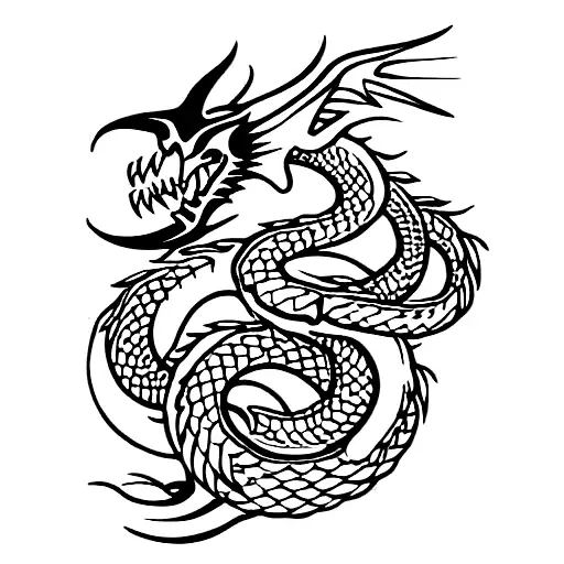 Dragon With Snakes And Roses