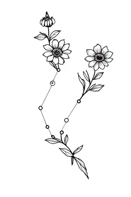 Aquarius Constellation And Flowers