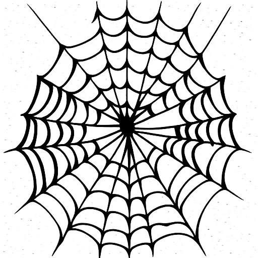 Spider Web With Music