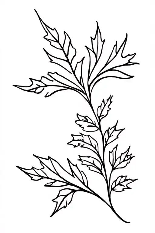 Larkspur Flowers Filipino Sun Maple Leaf Intertwined